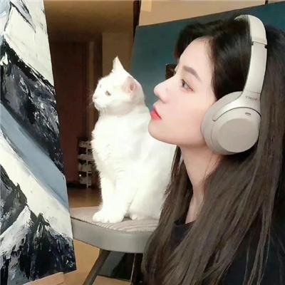风流总统